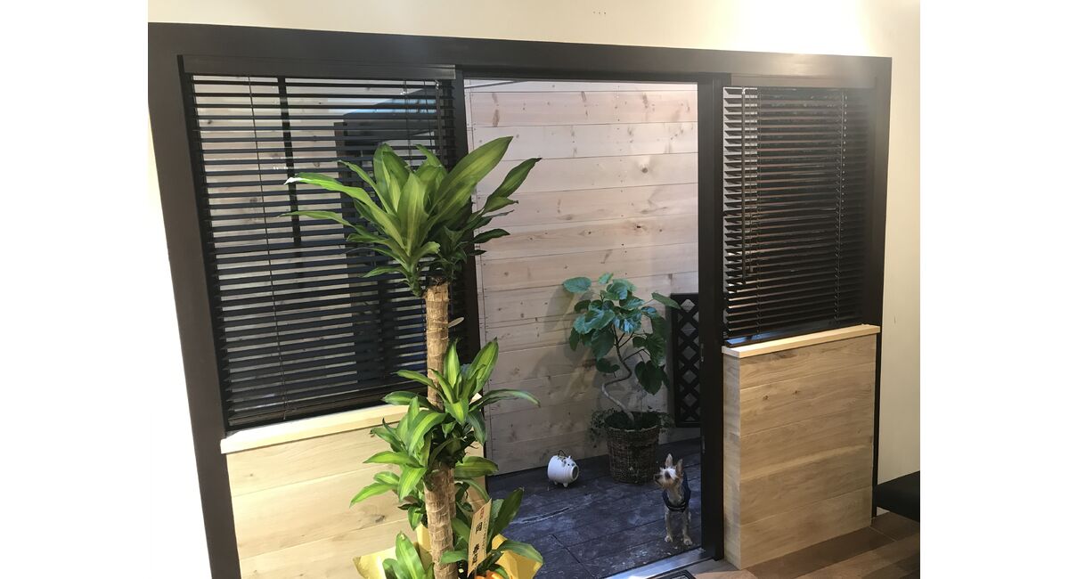 店舗