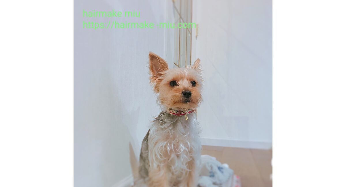 店舗・スタッフ